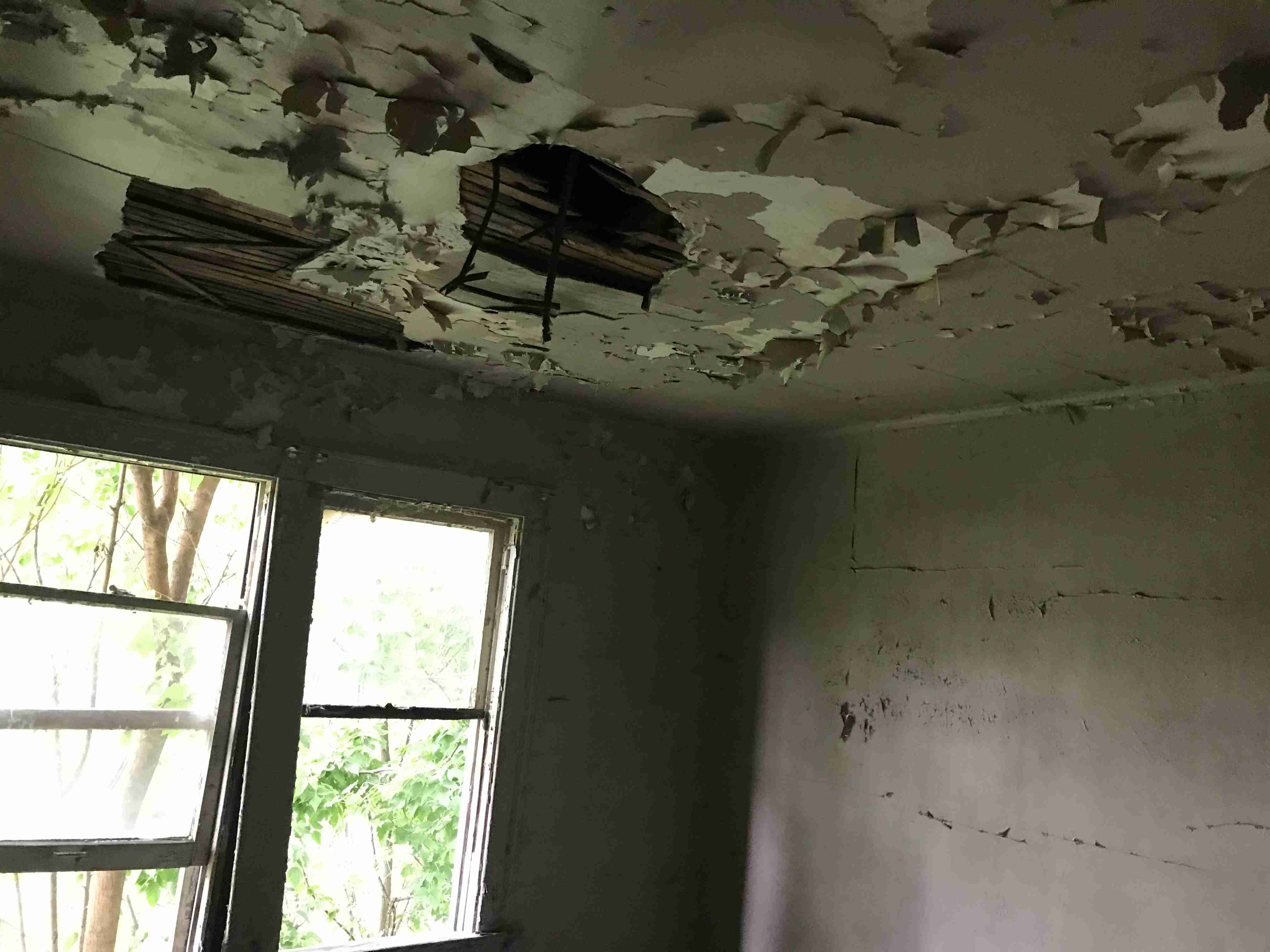 Photo Sep 09, 4 28 09 PM.jpg